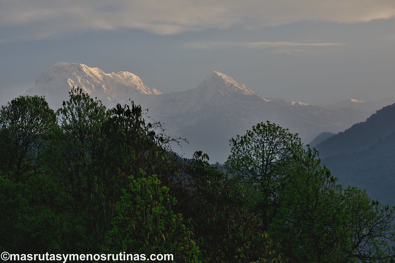 Trek ABC. De Pothana (2000 m) a Phedi (1200 m) - NEPAL 2016. Trek al Annapurna Sanctuary (ABC) (2)