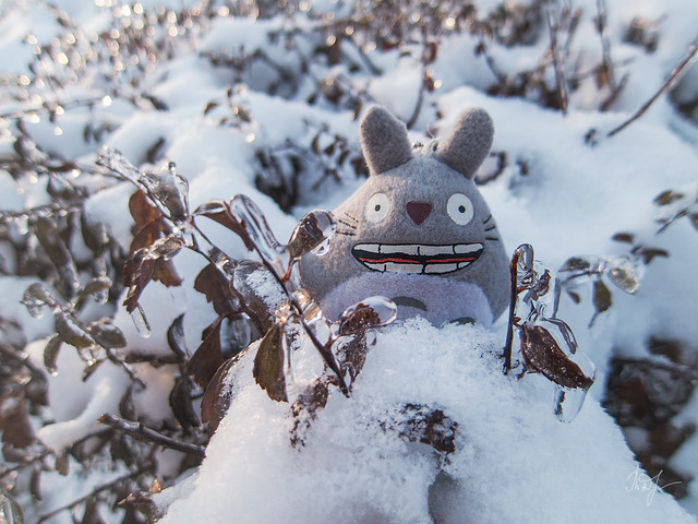 Day #320: totoro supposes that the autumn of this year is a such strange...