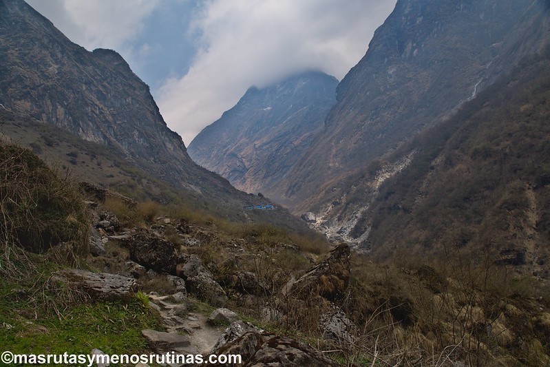 NEPAL 2016. Trek al Annapurna Sanctuary (ABC) - Blogs de Nepal - Trek ABC. De Sinuwa (2320 m) a Deurali (3150 m) (13)