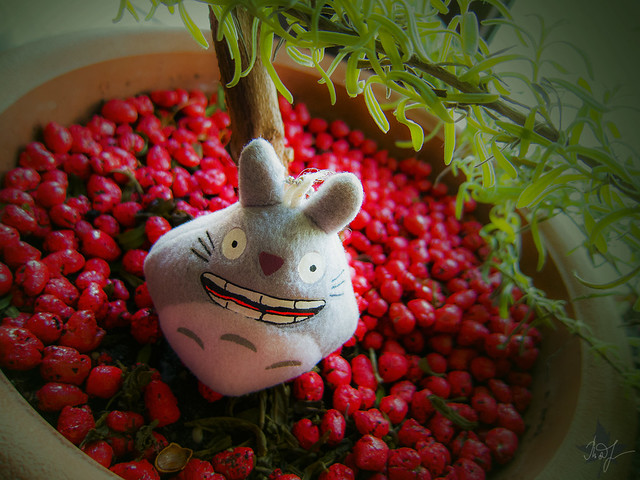 Day #345: totoro is not afraid to surround himself with strange things