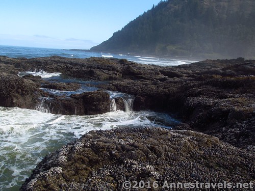 Water drains off the lava flow after being struck by a wave, Cape Perpetua, Oregon