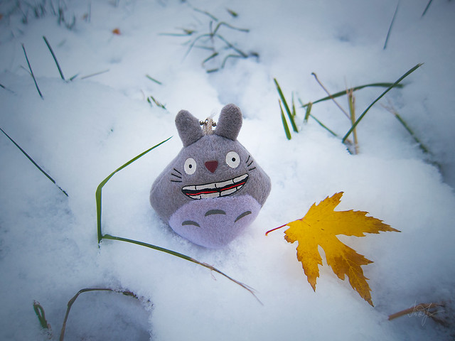Day #306: totoro can not understands: this is still autumn or it is winter already?