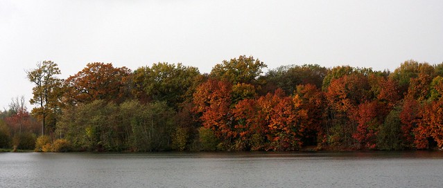 Colours of autumn V