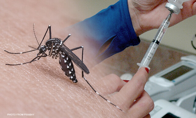 dengue vaccine