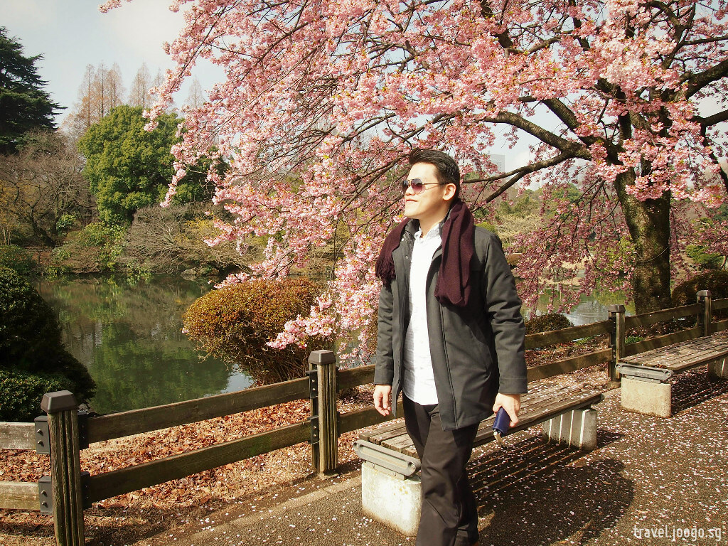 Shinjuku Gyoen Spring Sakura 3 - travel.joogo.sg