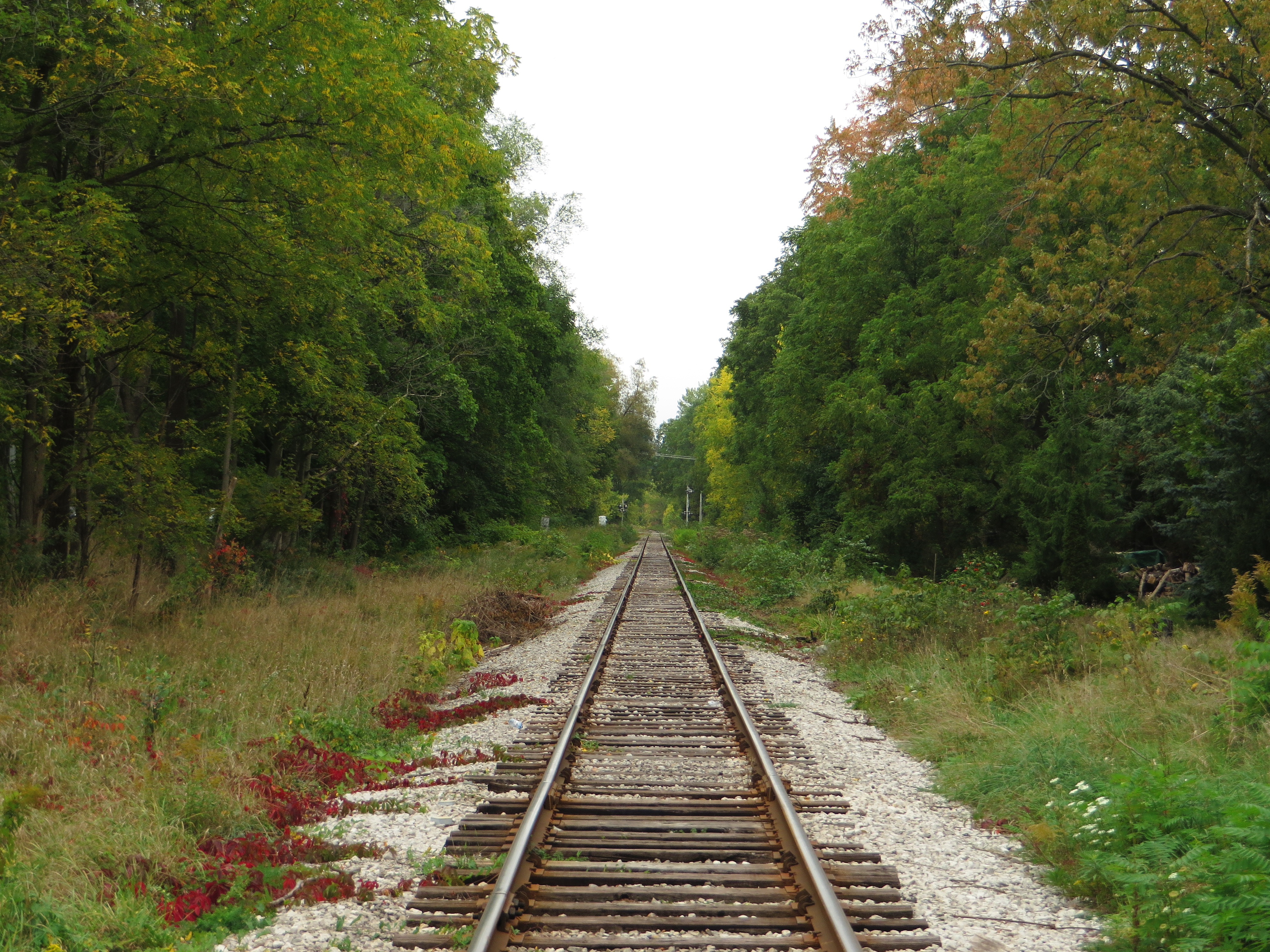Railroad Tracks, Stratford, Ontario