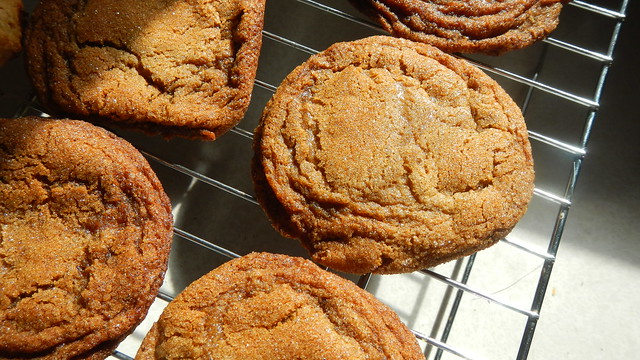 Ginger Molasses Cookies 14