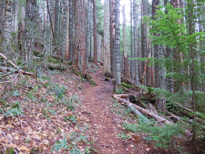 Wyeth Trail