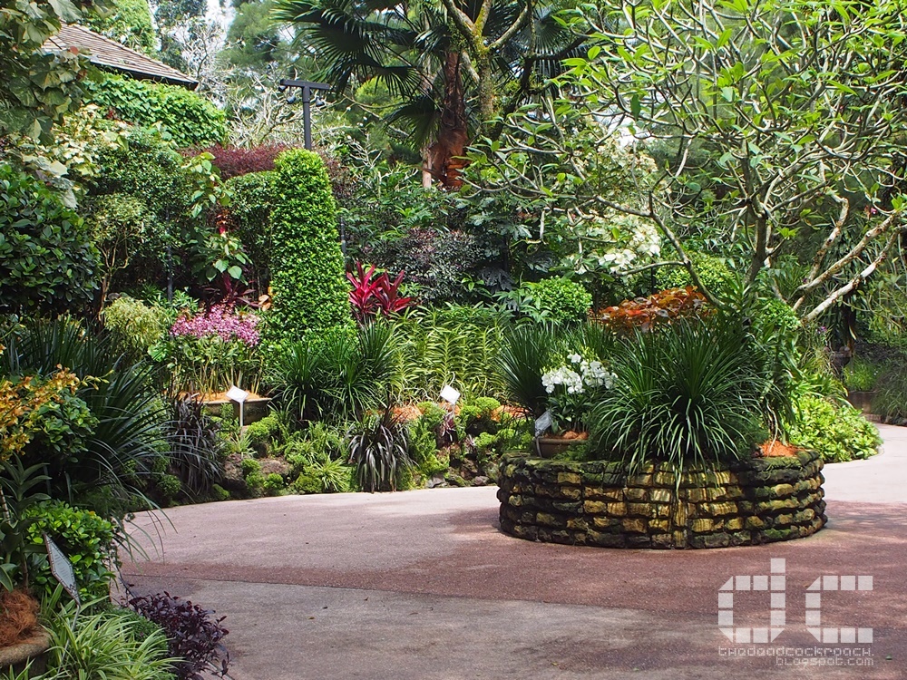 botanic gardens, places of interest, singapore, singapore botanic gardens, unesco,  where to go in singapore, national orchid garden,celebrity garden,orchid