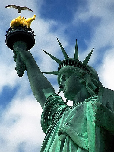 New York - Liberty Island "Statue of Liberty & Seagull"