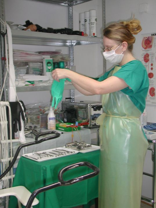 Surgical Gloves | USAMedicalSurgical.com