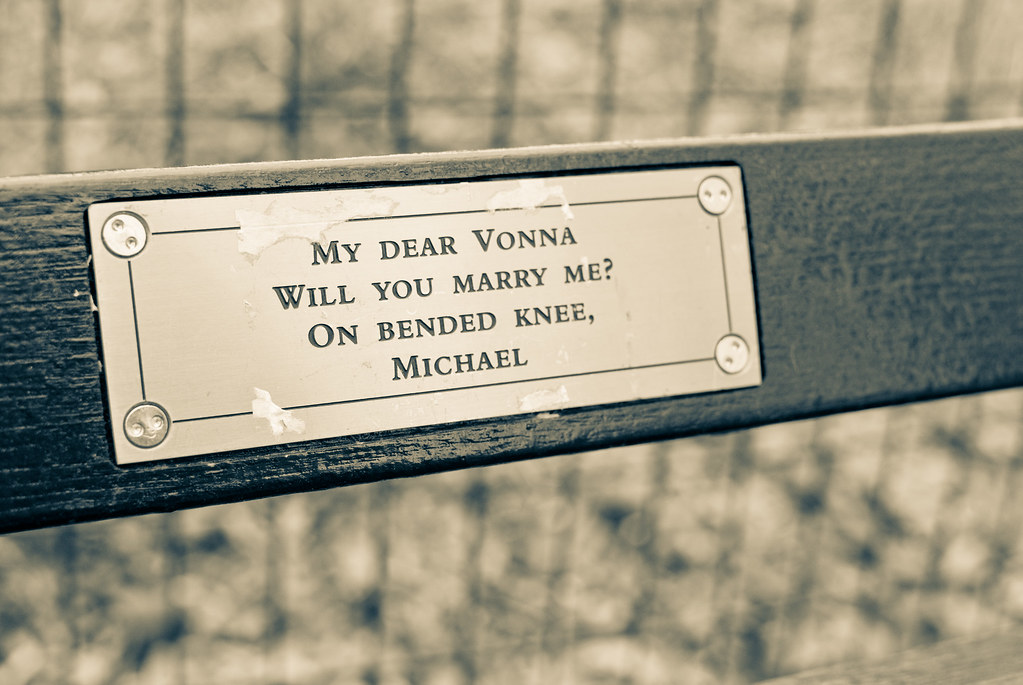A Bench in Central Park