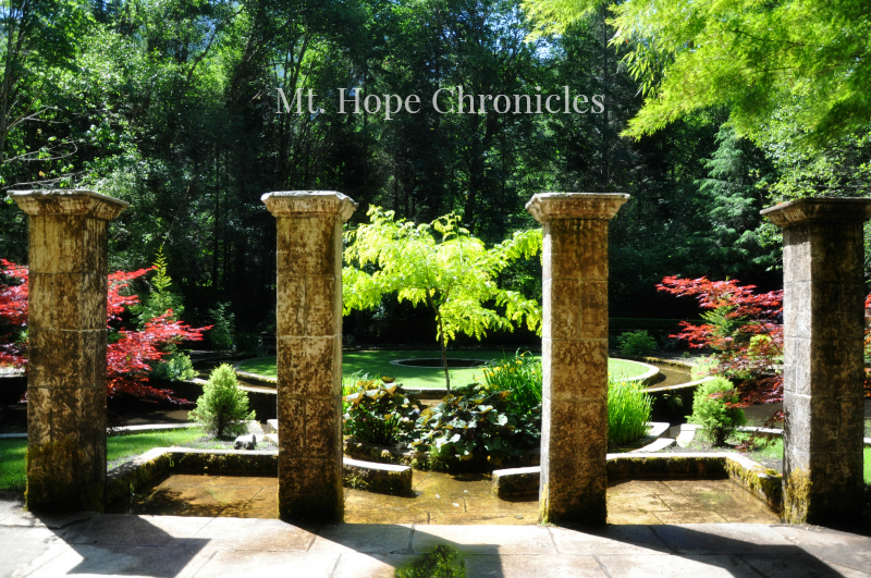 The Secret Garden @ Mt. Hope Chronicles