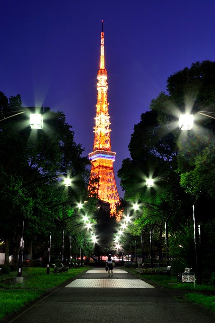 東京タワー_夜景_芝公園4号地_縦構図で撮影