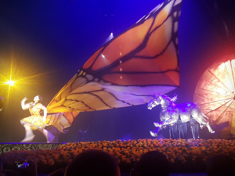 Cirque du Soleil Luzia butterfly
