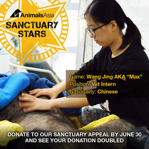 Our first Sanctuary Star – Vet Intern Max