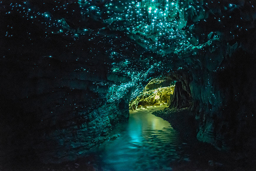 Glowworm Caves ~ New Zealand