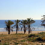 002sp. Playa de Artola, Cabopino, Marbella, Spain. 26-Jan-15; Ref-D108-P002sp