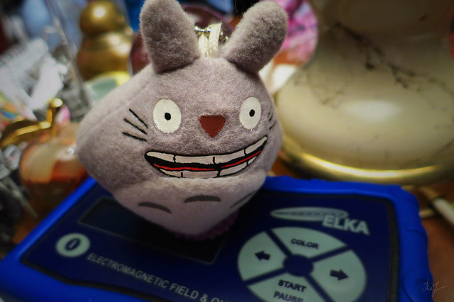 Day #124: totoro conducts a session magnetic resonance therapy