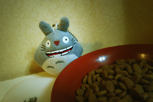 Day #126: totoro wants to steal cat food