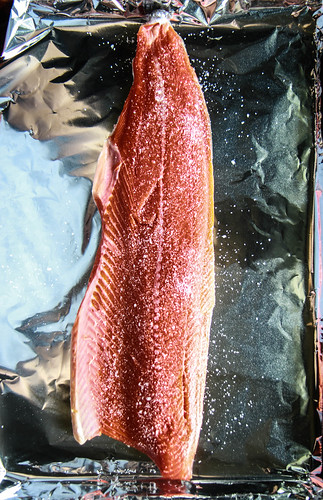 Grilled Nactarine mustard Glazed Salmon from HeatherChristo.com