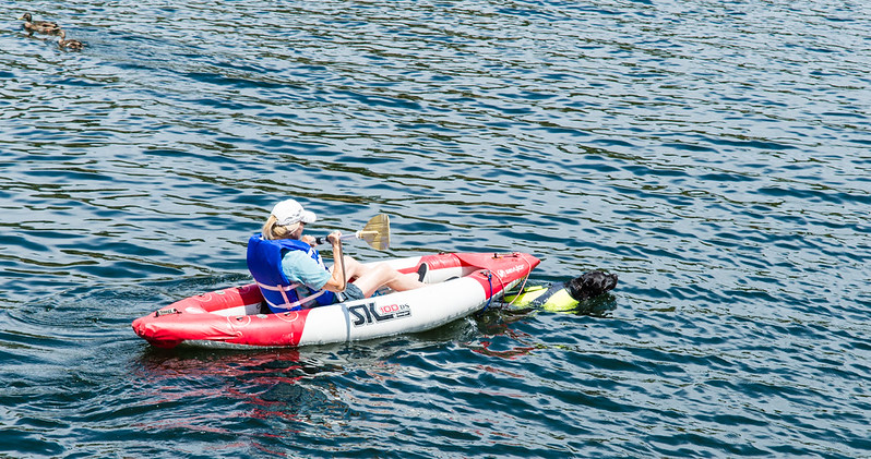 Water Dog with Kayak 1