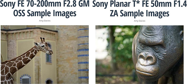 ソニー 70-200mm と 50mm サンプル画像