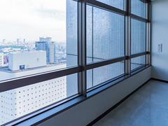 Shinjuku NS Building south windowsill