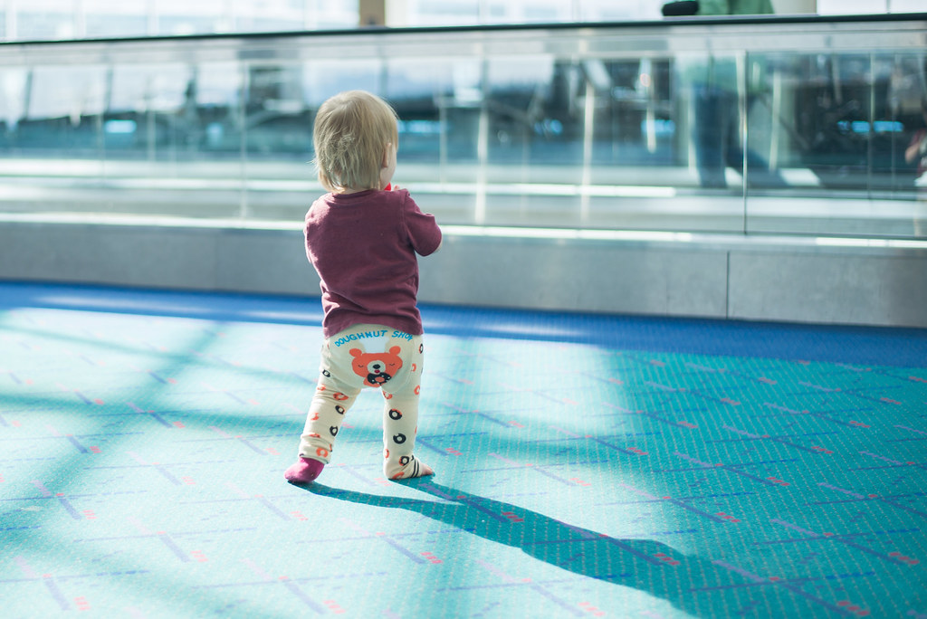 Reese Walking The Airport