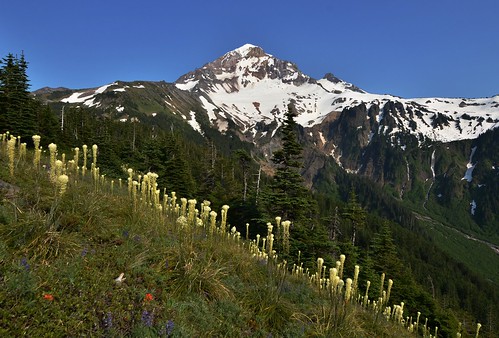 This is what we should have seen from McNeil Point, Mt. Hood National Forest, Oregon (Photo courtesy of Nathan)