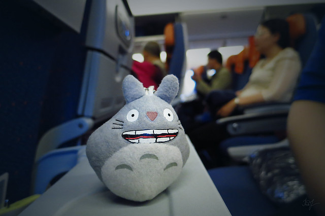 Day #150: totoro is on a plane