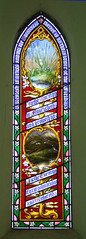 in the morning it flourisheth and groweth up, in the evening it is cut down, dried up and withereth: enamelled glass, 1859