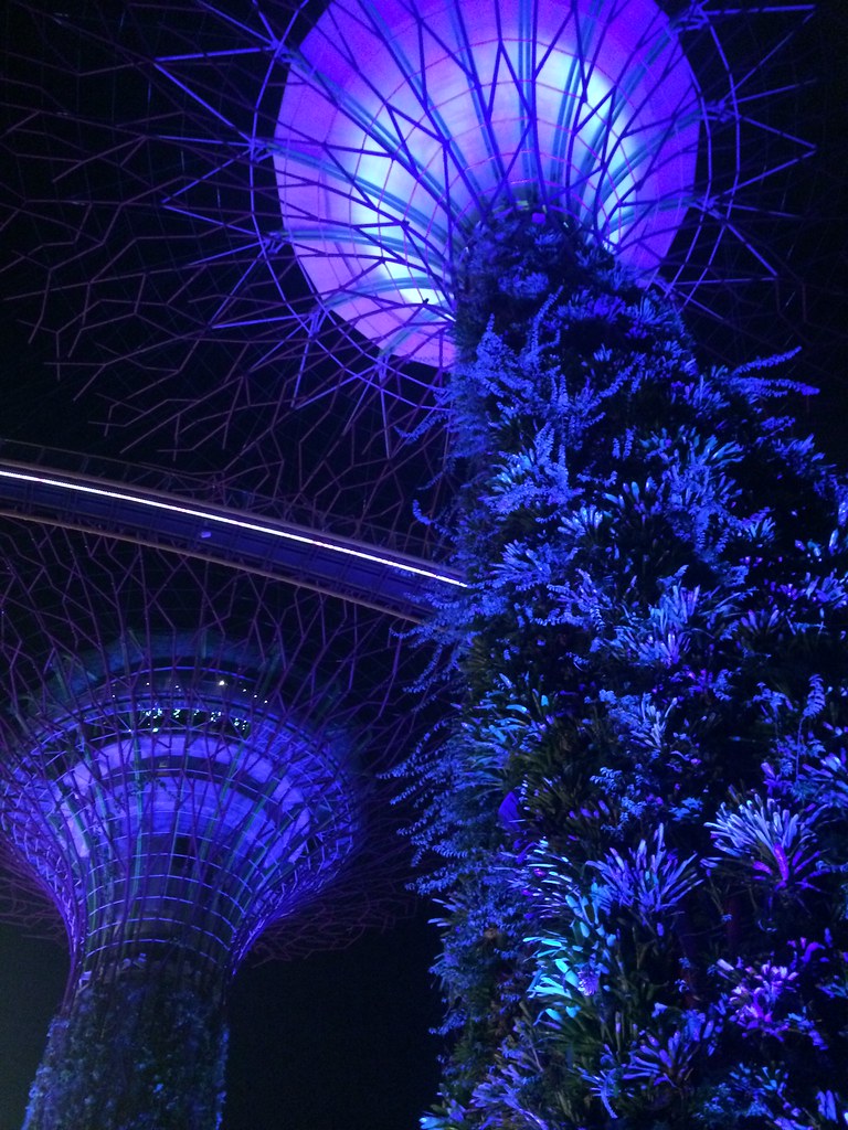 Gardens by the Bay - Copyright Travelosio