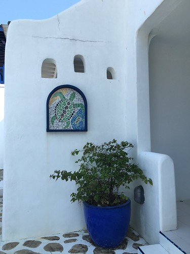 Mykonos beach villa,  potted plant