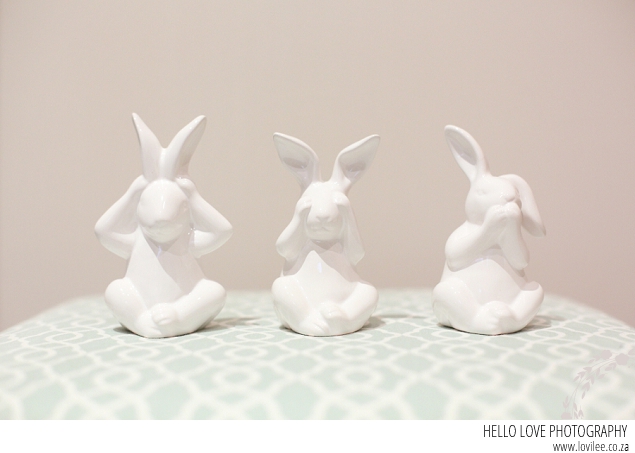A bunny themed nursery and Newborn shoot