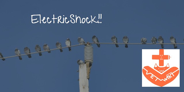 ElectricShock