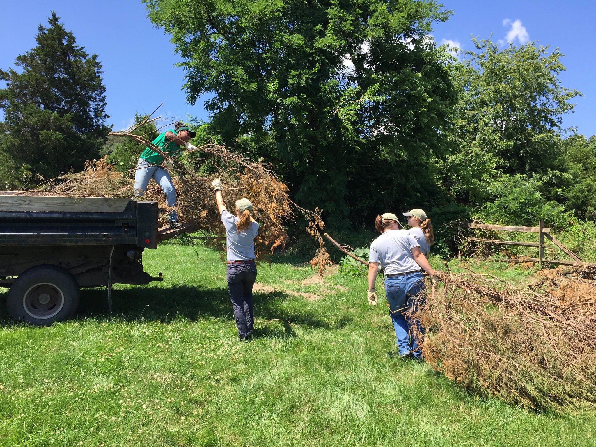 YCC crew members removed downed tree branches 
