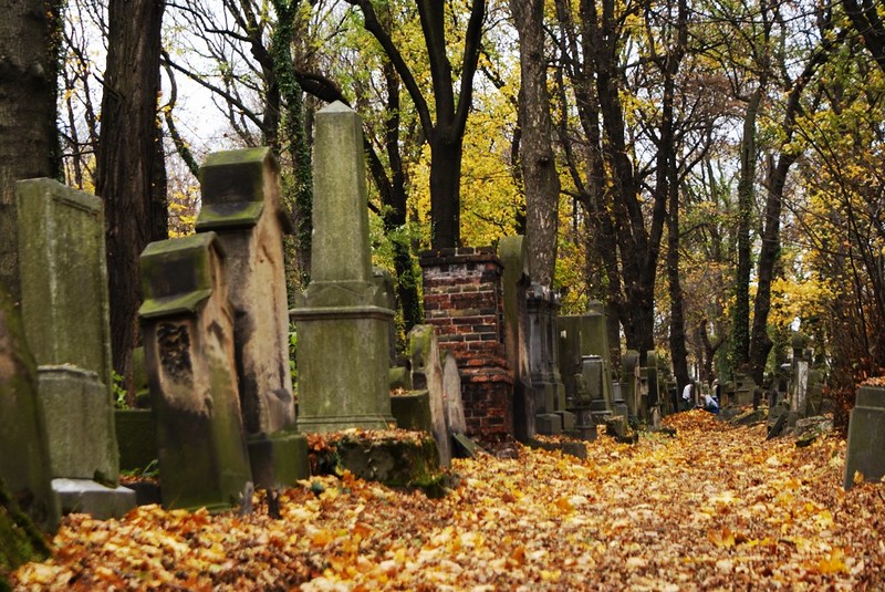 Allée du nouveau cimetière juif de Cracovie en automne.