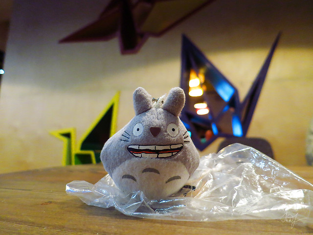 Day #218: totoro thinks the problem with a plastic on our planet is exaggerated