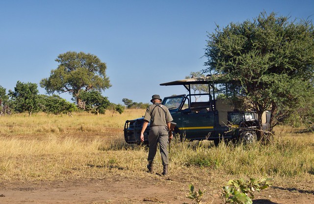 KRUGER: Persiguiendo leones. Morning Walk en Satara y atardecer en Olifants - Por el norte de SUDÁFRICA. Montañas, playas, fauna y sus gentes (5)