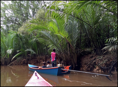 Little Amazon Tour - In the Jungle!