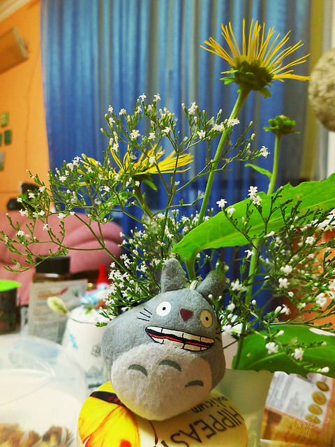 Day #221: totoro went to the cottage