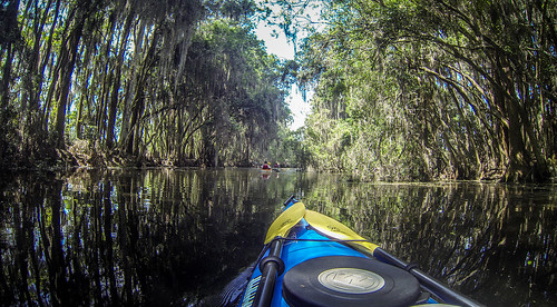 Lowcountry Unfiltered at Okefenokee-82