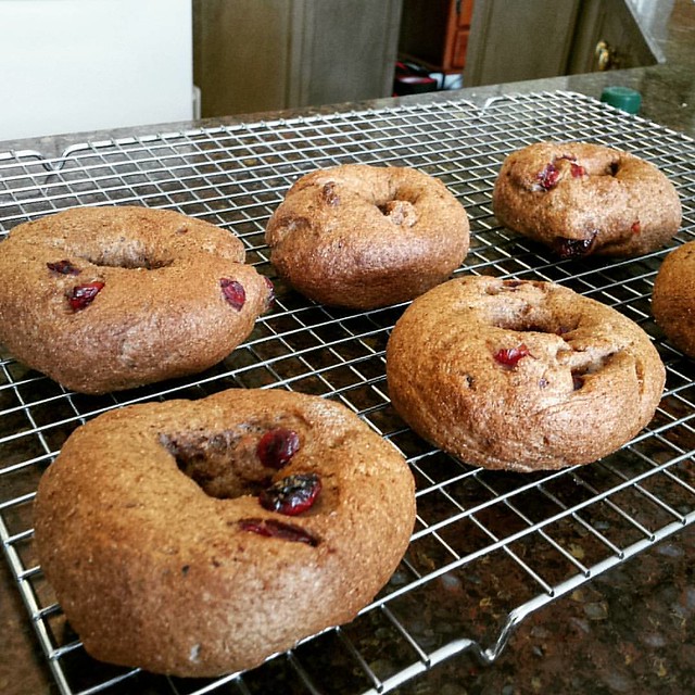 Cranberry Blueberry Bran Bagels