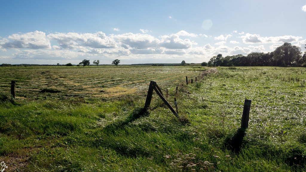 Podlasie 2016 - d5 - Czerwone Bagno