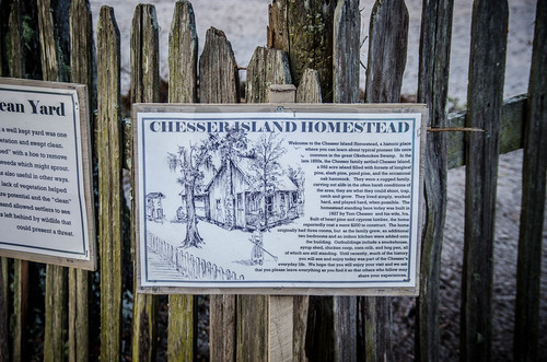 Chesser Homestead-003