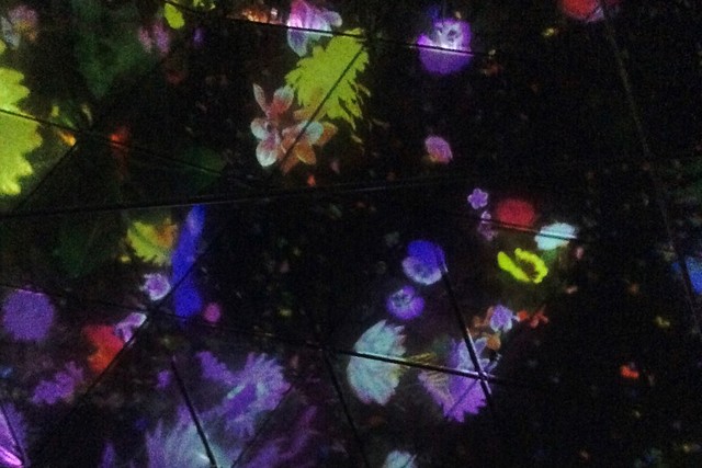 「Floating in the Falling Universe of Flowers」まさに花の宇宙です。DMM.プラネッツ Art by teamLab