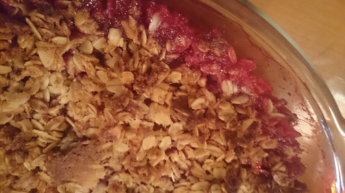 Vegan Gluten-Free Raspberry Rhubarb Crisp