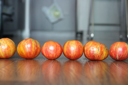 hierloom tomatoes