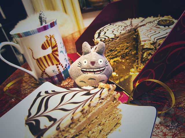 Day #261: totoro has a cake